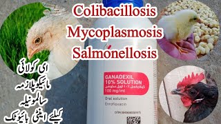 Antibiotic to Treat Salmonellosis Mycoplasmosis and Colibacillosis in Poultry  Dr ARSHAD [upl. by Eseeryt]