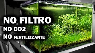 Acquario SENZA FILTRO  Allestimento e Tutorial [upl. by Anitirhc]