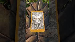 The Faeries Oracle Card 47  The Oak Men  Strength Ancient Wisdom Depth By Brian Froud fairy [upl. by Russian]