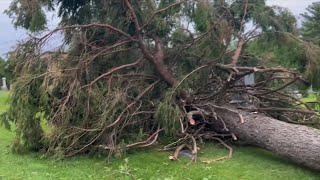 Severe Storms Bring Heavy Tree Damage To Freeport amp Lost Of Power Across The Stateline [upl. by Gerhard]