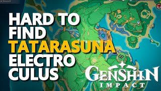 Hard to get Kannazuka Electroculus Genshin Impact Tatarasuna Gate Key [upl. by Chuck]