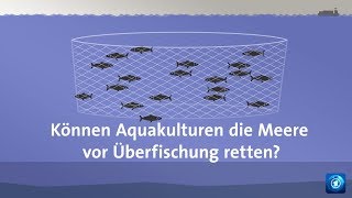 Überfischung Helfen Aquakulturen [upl. by Asserak]