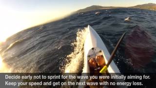 Surfski Downwind Basics [upl. by Mycah]