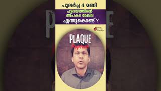 പുലർച്ച സമയം ഹാർട്ട് അറ്റാക്കിന്റെ സമയം എന്നറിയപ്പെടുന്നതെന്തുകൊണ്ട് പല രോഗികൾക്കും വന്നത് പുലർച്ച [upl. by Aihsatan660]