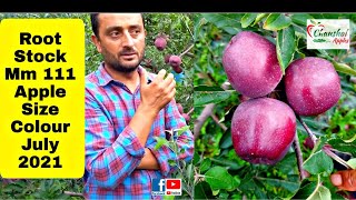 Apple Orchard  Mm 111 Village Thana Ransar valley  Sanjeev Thakur [upl. by Aleekat300]