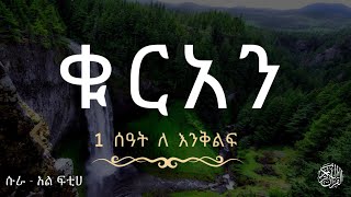 ቁርአን ለ እንቅልፍ  ሱራ  አል ፍቲሀ  ልባቹ እንዲረጋጋ ይህን ይስሙ  Quran 1 hour For Sleeping  Amharic hadees ቁርአን [upl. by Bathulda]