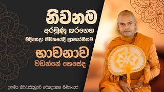 Niwana  Pattana Desana  Kiriwaththuduwe Ariyadassana Thero [upl. by Aenaj]