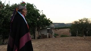 Chiles indigenous Mapuche Indians fight for ancestral lands [upl. by Devan]