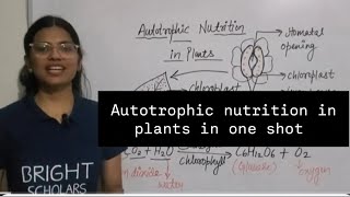 Autotrophic nutrition in plants class 7th education study students viralvideo [upl. by Press665]