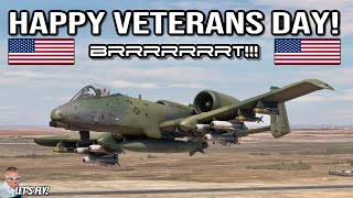 A10 GAU8A Avenger Autocannon Display  HAPPY VETERANS DAY Microsoft Flight Simulator  MSFS2020 [upl. by Atilehs]