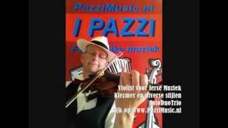 Viool Violist Violisten Ierse Muziek Fiddle Klezmer Feestmuziek Irish Music Violin youtube [upl. by Aleekahs]