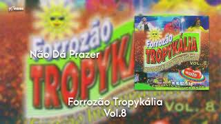 Forrozão Tropykália  Vol 8  Não Dá Prazer [upl. by Ycnalc]