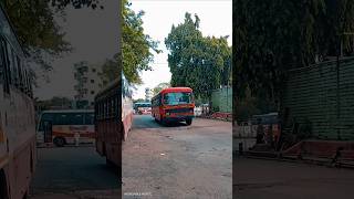 शेगांव ➡️ साकोली बस incrediblemsrtc Nagpur to sakoli msrtc bus msrtcbus lalpari msrtc [upl. by Aicenav356]