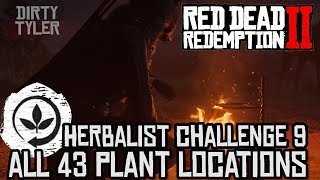 RDR2 All Plant Locations  Herbalist Challenge 9  Red Dead Redemption 2 Guide [upl. by Bencion]