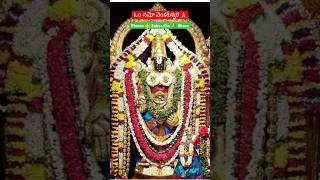 Om Namo Venkateswara Song Telugu  Lord Balaji song devotionalomnamovenkatesayasongshortmelody [upl. by Izogn519]