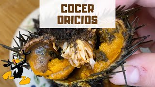 3 TRUCOS para Cocer Oricios 🤤 ¡ERIZOS DE MAR [upl. by Grobe970]