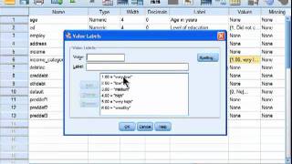 Spearman Correlation  SPSS part 1 [upl. by Lira]