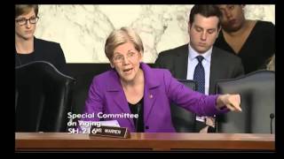 Elizabeth Warren At Valeant Pharmaceuticals Hearing on Business Practices [upl. by Tormoria]