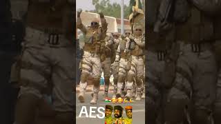 forces spéciales du Niger🇳🇪🇳🇪💪💪 [upl. by Bazluke]