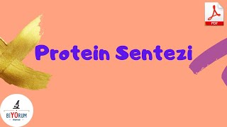 protein sentezi [upl. by Victor]