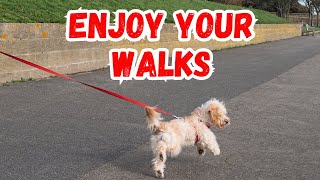 Dog Training Made Easy with the Long Line Technique [upl. by Inaffets]