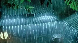 Deep Sleep Solution with Torrential Rain amp Thunder Reverberating on a Metal Roof [upl. by Inalel317]