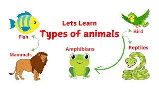 Types of Animals for Kids  Types of Animals for Kindergarten  Mastering Animal Classification [upl. by Notnil]