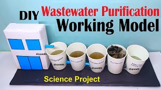 wastewater treatment or purification working model for science project exhibition  DIY pandit [upl. by Itsirc]