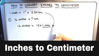 How to Convert Inches to Centimeters  Inches to Centimeter Conversion [upl. by Ayhdnas]