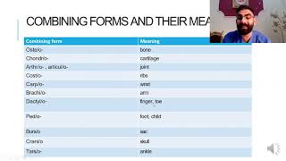 Lec 4 Musculoskeletal system part 1 [upl. by Keely863]