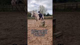 Getting on amp off 17hh Stallion horse horseriding equestrian pony showjumping horselover [upl. by Yrellih]