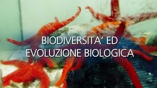 Laurea magistrale in Biodiversità ed Evoluzione Biologica BIOEVO [upl. by Leandro648]