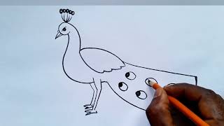 how to draw peacock drawing easy step by stepDrawingTalent [upl. by Lewej207]