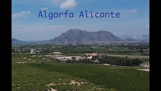 🇪🇸Algorfa Village Alicante Costa Blanca during lockdown 22 05 20 [upl. by Ahsenat150]