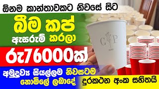 ස්වයං රැකියා  swayan rakiya at home 2024  swayan rakiya at home  swayan rakiya [upl. by Ossie]