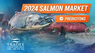 3MMI  2024 Salmon Market Predictions [upl. by Bazar]