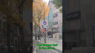 The Golden Leaf in the street goldenleaf satisfyingvideo [upl. by Susy]