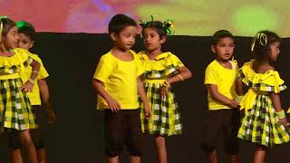 Educare Pre School  2018 Concert  Don Jin Jin [upl. by Milzie]