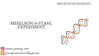 Meselson And Stahl Experiment  Malayalam Explanation  Semiconservative DNA Replication Malayalam [upl. by Ekim]