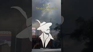 Pachuco luciendo el plumaje en Bellavista Tacubaya 18 10 2024 [upl. by Ettolrahc873]