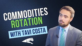 Commodities’ Rotation Tavi Costa [upl. by Eurd]