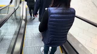 KONE TravelMaster 110 Escalators Restoration Hardware  Cherry Creek Mall  Denver CO [upl. by Nolaf]