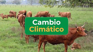 CAMBIO CLIMÁTICO [upl. by Einehpets]