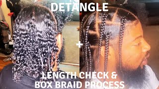 How to Detangle 3b3c hair  Length Check  Updated Box Braids for Men [upl. by Colver]