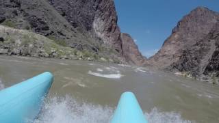 GoPro flies off head while rafting in Grand Canyon [upl. by Misak]