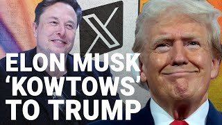 ‘Kowtowing’ Elon Musk should ‘grill’ Trump in their interview tonight [upl. by Nerra]