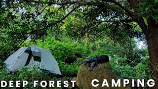 Duo camping in deep forest  camping in india [upl. by Gusta]