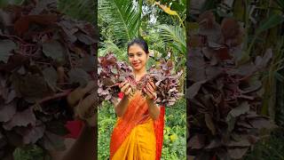 Lal shak recipe in bengali styleforyou shorts viralvideo [upl. by Ecirp]