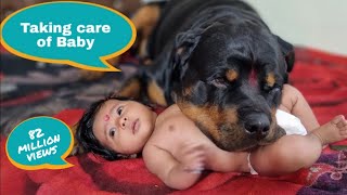 Jerry and Aaru are made for each other  Dog protecting baby  earn money online [upl. by Caplan]