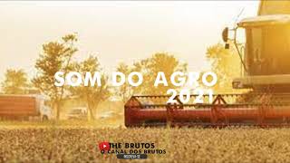 SOM DO AGRO TOP02SELEÇAO DAS BRUTAS [upl. by Fannie]